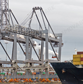 企業(yè)相冊(cè)1